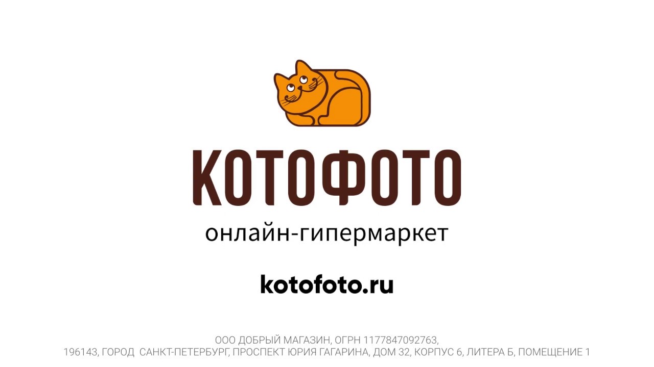 Котофото Интернет Магазин Ростов На Дону