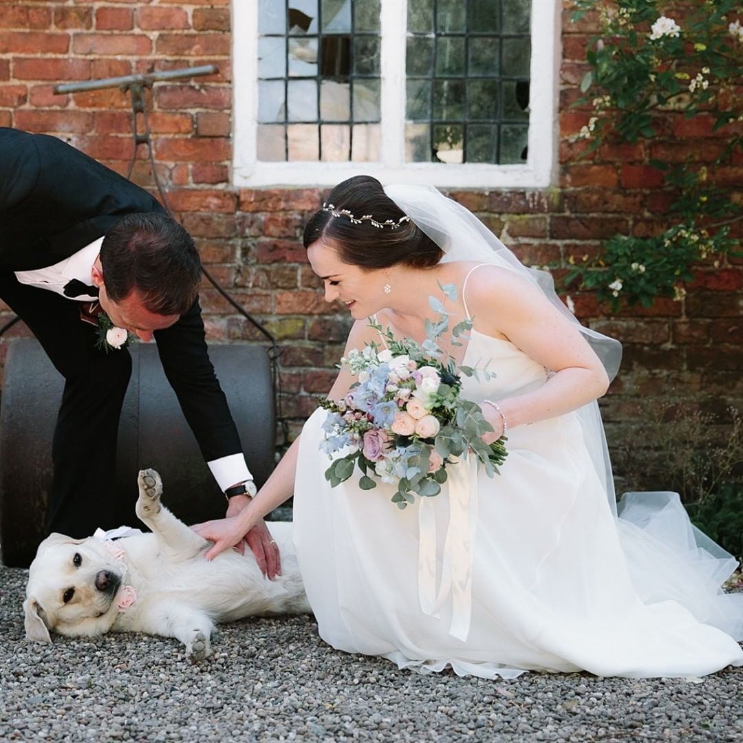 🎀𝗦𝗶𝗺𝗽𝗹𝗲-𝗗𝗿𝗲𝘀𝘀 - Mr. Dog in Wedding.

#puppy #dog #pet #bridal #bride #groom #love #picoftheday #dogsofinstagram #weddingphotography