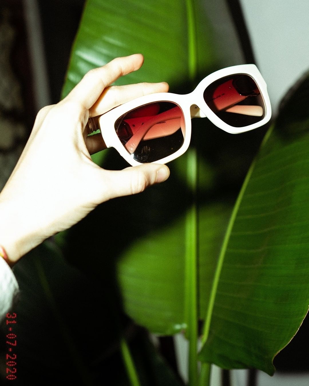 Trussardi - Life in technicolor 🌿  #Trussardi #sunglasses #summer #accessories