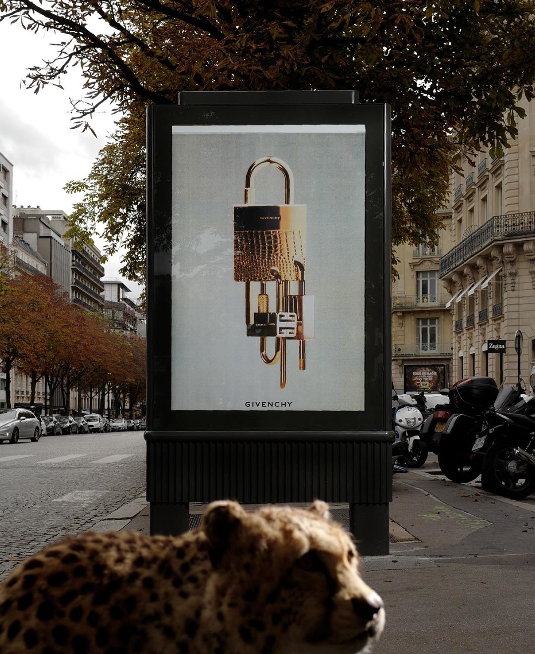 GIVENCHY - big cats