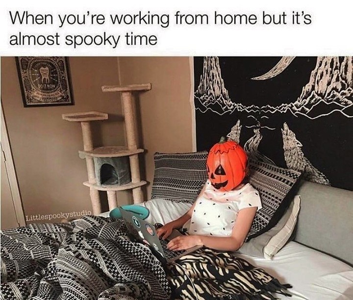 Dresslily - 🎃Can you relate?
Pict by @halloweenaddictionn 
#dresslily