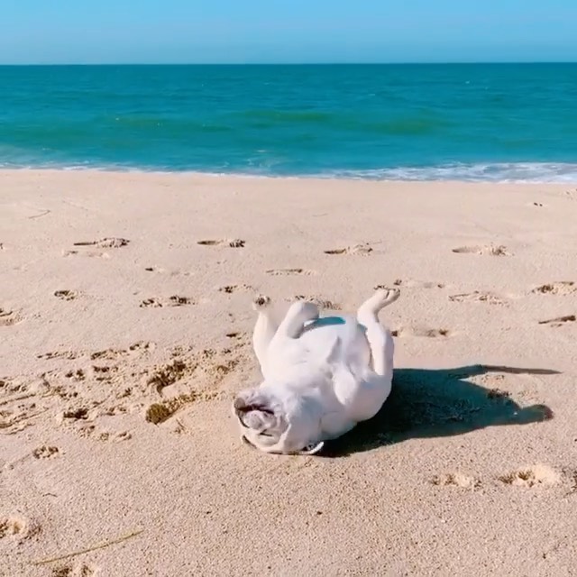  - Вот так я себя вижу после карантина, включая формы 😂
А что хотели бы вы сделать первым делом после изоляции ?