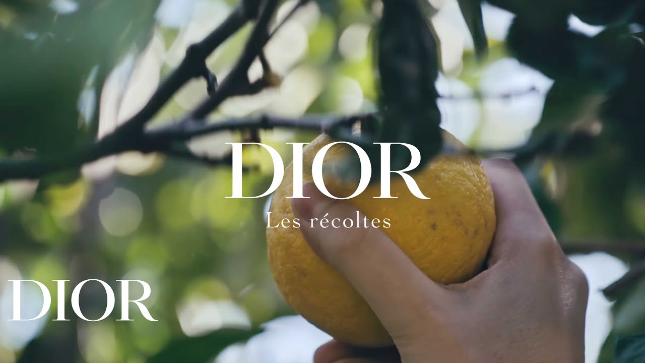 Dior Parfums - Bergamot Harvest: SAVOIR-FAIRE