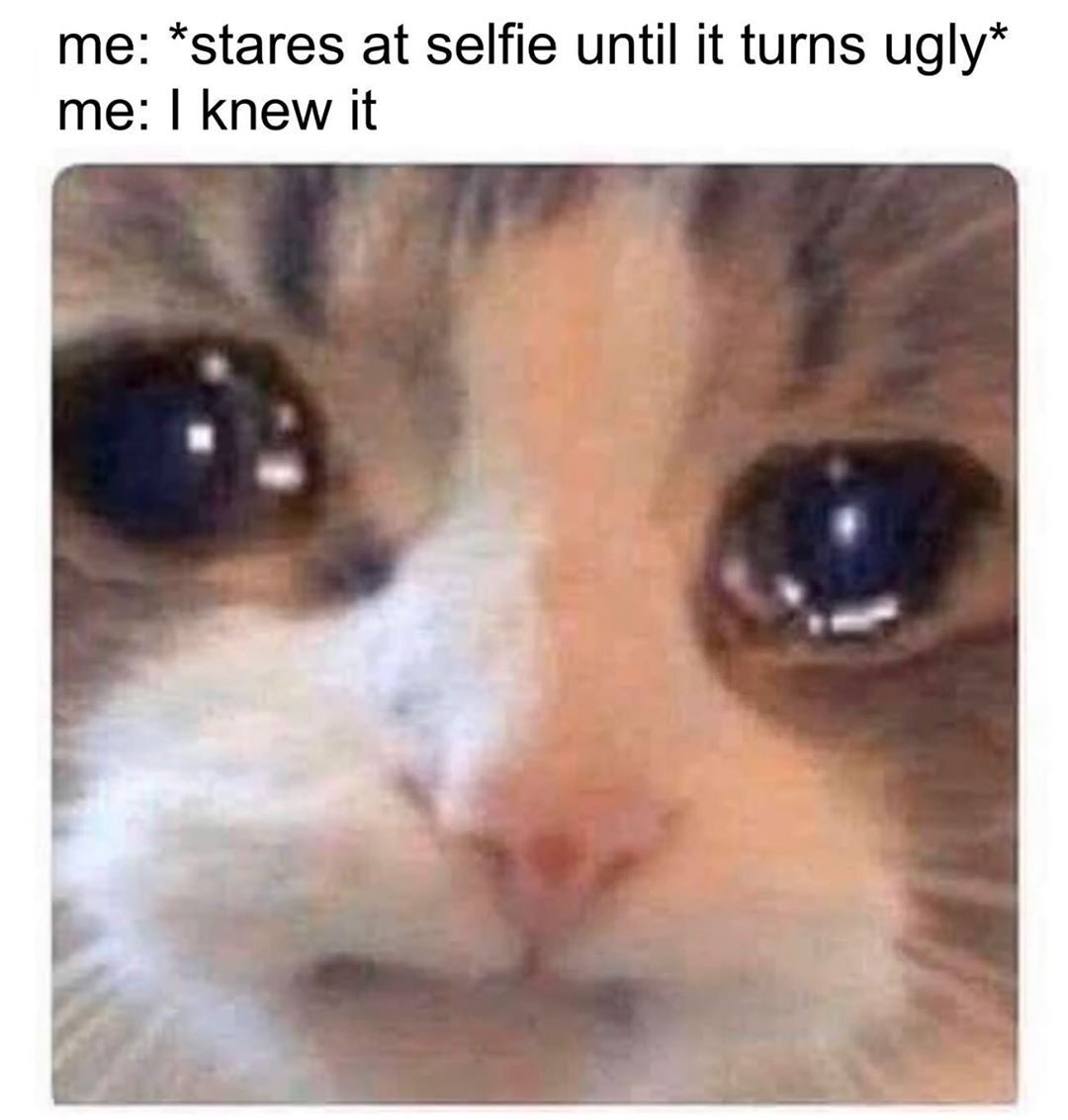 J. Cat Beauty - Okay tooooooo relatable! WHY?!?😂😭 PS- you’re beautiful no mater how long you’ve stared at your selfie❤️
.
.
.
#jcatbeauty #jcat #cute #funny #lol #beauty #makeup #instabeauty #nomakeup...