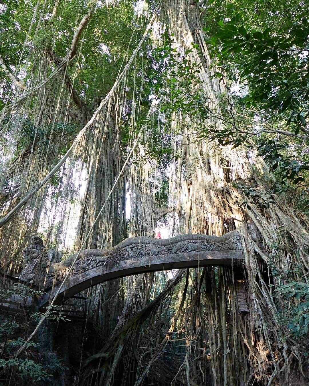 bruno banani Official - Für unsere aktuelle Kampagne haben wir auch den Monkey Forest (Ubud/Bali) als Shooting-Location genutzt. Der Park hat uns noch einmal eine ganze andere, für uns neuartige Facet...