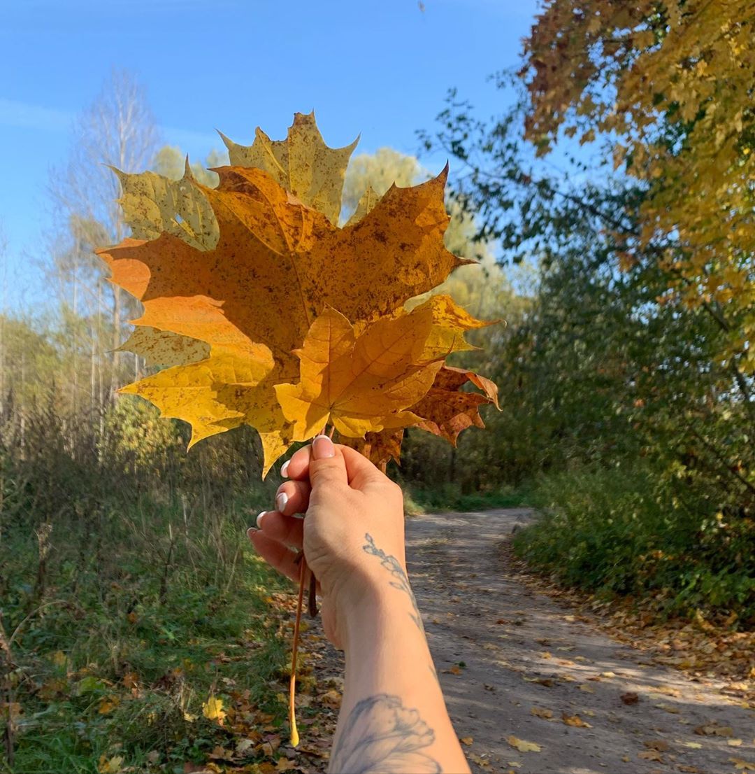 ⠀⠀⠀⠀⠀⠀⠀⠀⠀MASHA TSIGAL - Какая красивая осень 🍂 в этом году ! #таруса #autumn #осень #красота #mashatsigal #russia