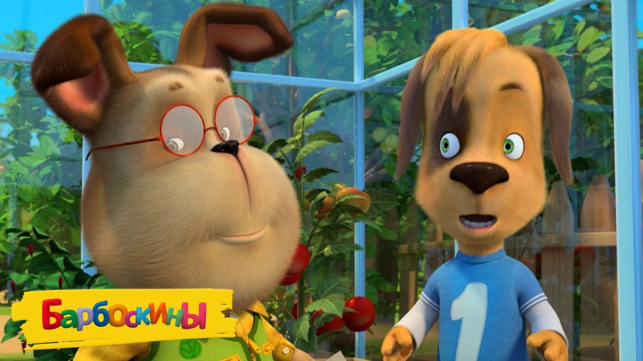 Барбоскины самую новую. Барбоскины 161 165. Барбоскины алиса. Барбоскины алиса. Барбоскины алиса.