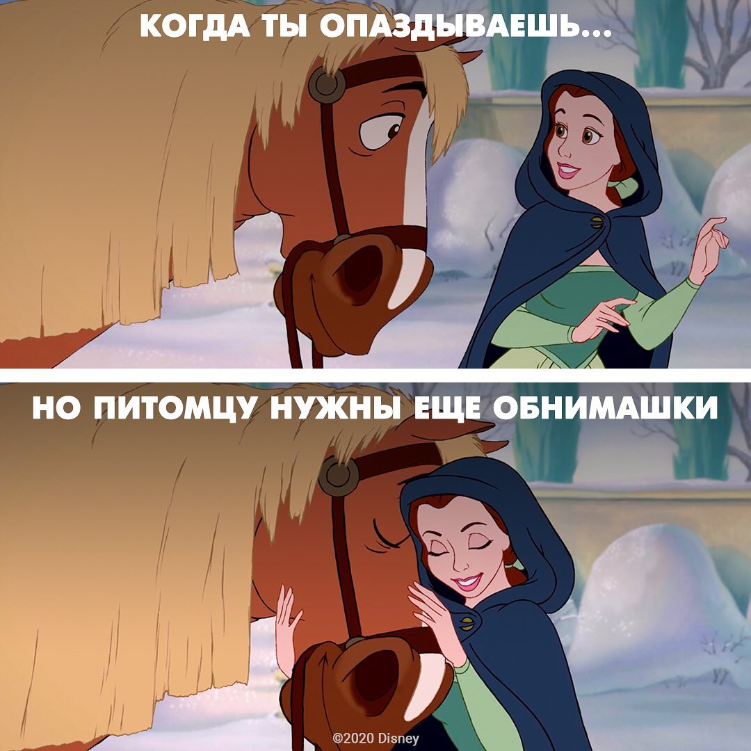 Disney Россия - Не забывайте обнять любимых питомцев 🤗

#Принцессы #КрасавицаиЧудовище