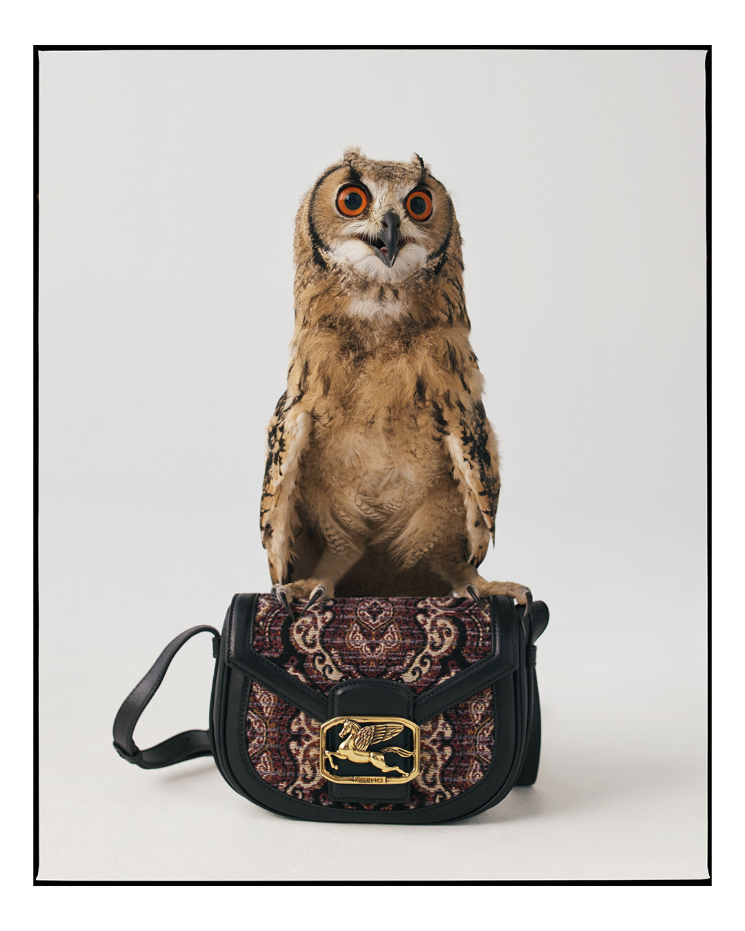 ETRO - WE ARE ALL ONE⁣
⁣
The ETRO Fall Winter 2020/21 Advertising Campaign embraces the contemporary spirit of today. We are not alone but, together with nature and animals.⁣
⁣
#ETRO #WEAREALLONE #ETR...