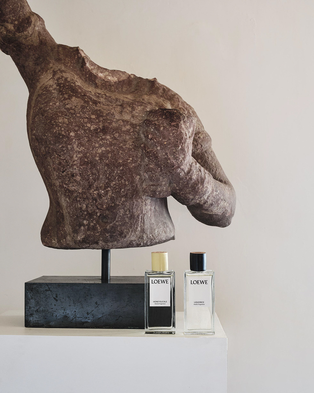 LOEWE - Part Victorian botanical garden, part apothecary, the LOEWE Home Scents range evokes a garden of earthly delights through 11 plants essences expressed as standalone scents comprising candles,...