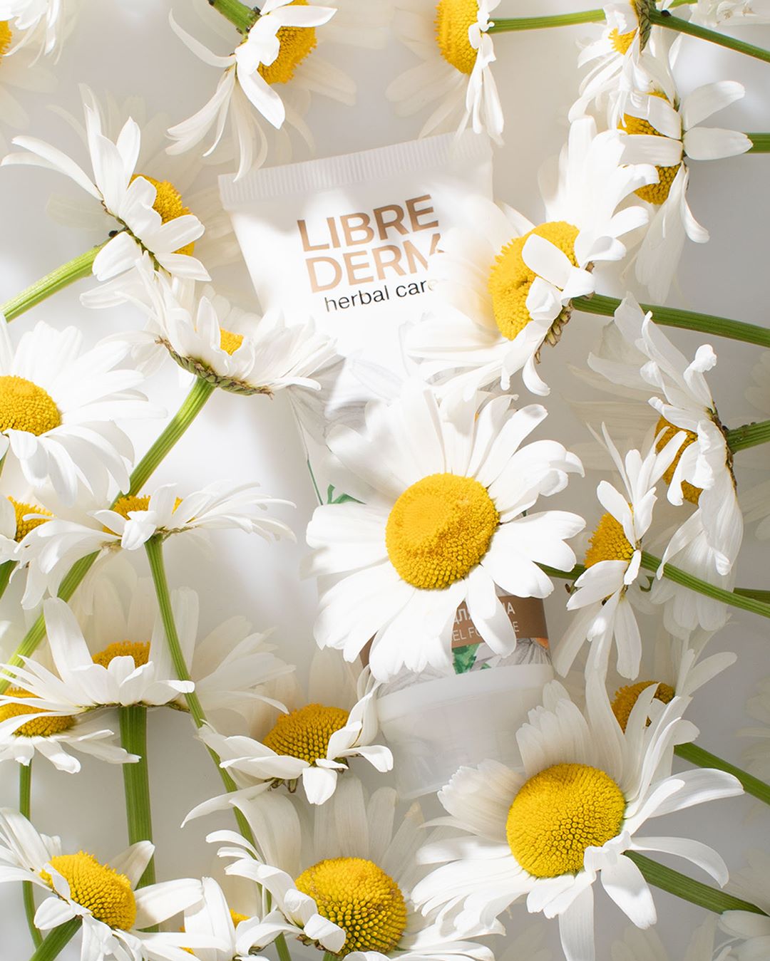 LIBREDERM LABORATORIES - Угадай, кто прячется в ромашках! 🌼🌼🌼 С нас 3 подсказки:⠀
⠀
1. Идеально подходит для бережного очищения  даже самой чувствительной кожи.⠀
2. Стимулирует естественное обновление...