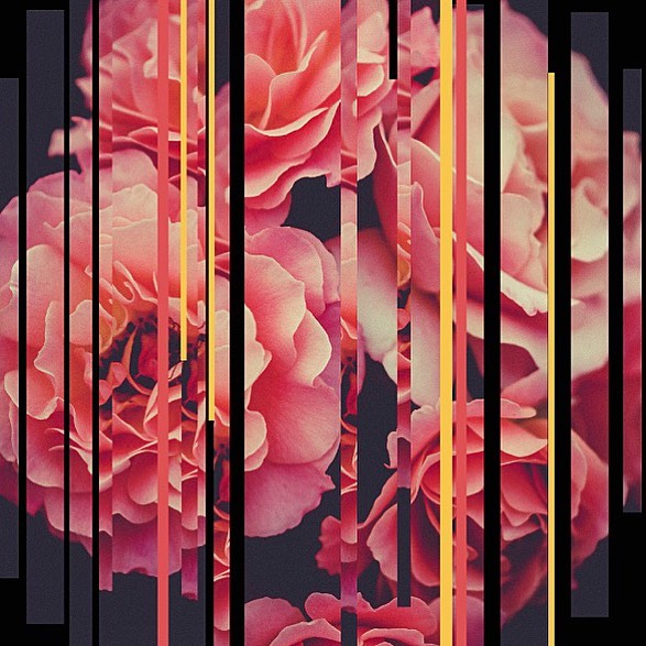 DesignByHümans - Love comes in all forms, glitches and all 🌹 Rose Glitches by artist @yoyomonsterph ⠀⠀⠀⠀⠀⠀⠀⠀⠀⠀⠀⠀⠀⠀⠀⠀⠀⠀⠀⠀⠀⠀⠀⠀⠀⠀⠀
.
.
.
#roses #happyvalentinesday #loveday #roseart #floralart