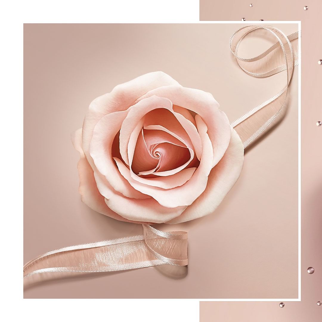 Lancôme Official - A story of authentic passion infused with the heart of a shimmering rose, La Nuit Trésor Nude the scent of true sensual love.
#Lancome #LaNuitTresor #Fragrance #lovewithnofilter