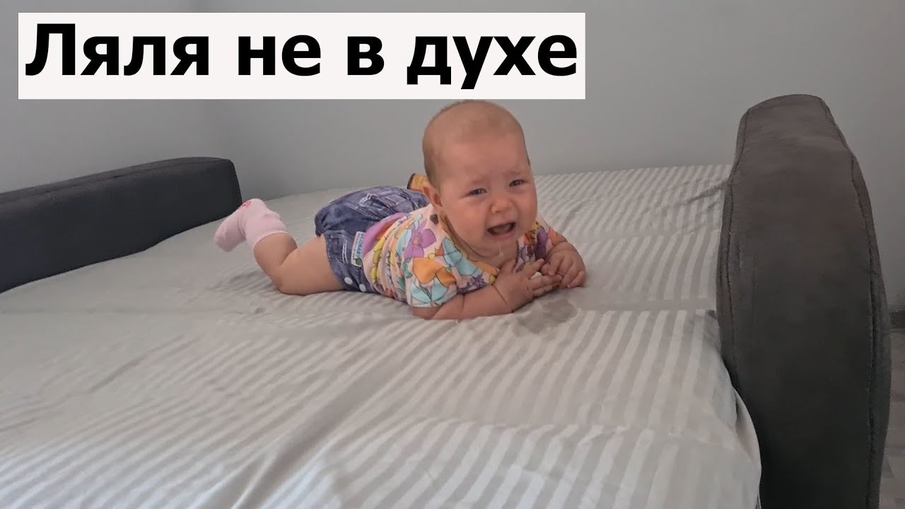 VLOG: У Марты нет настроения