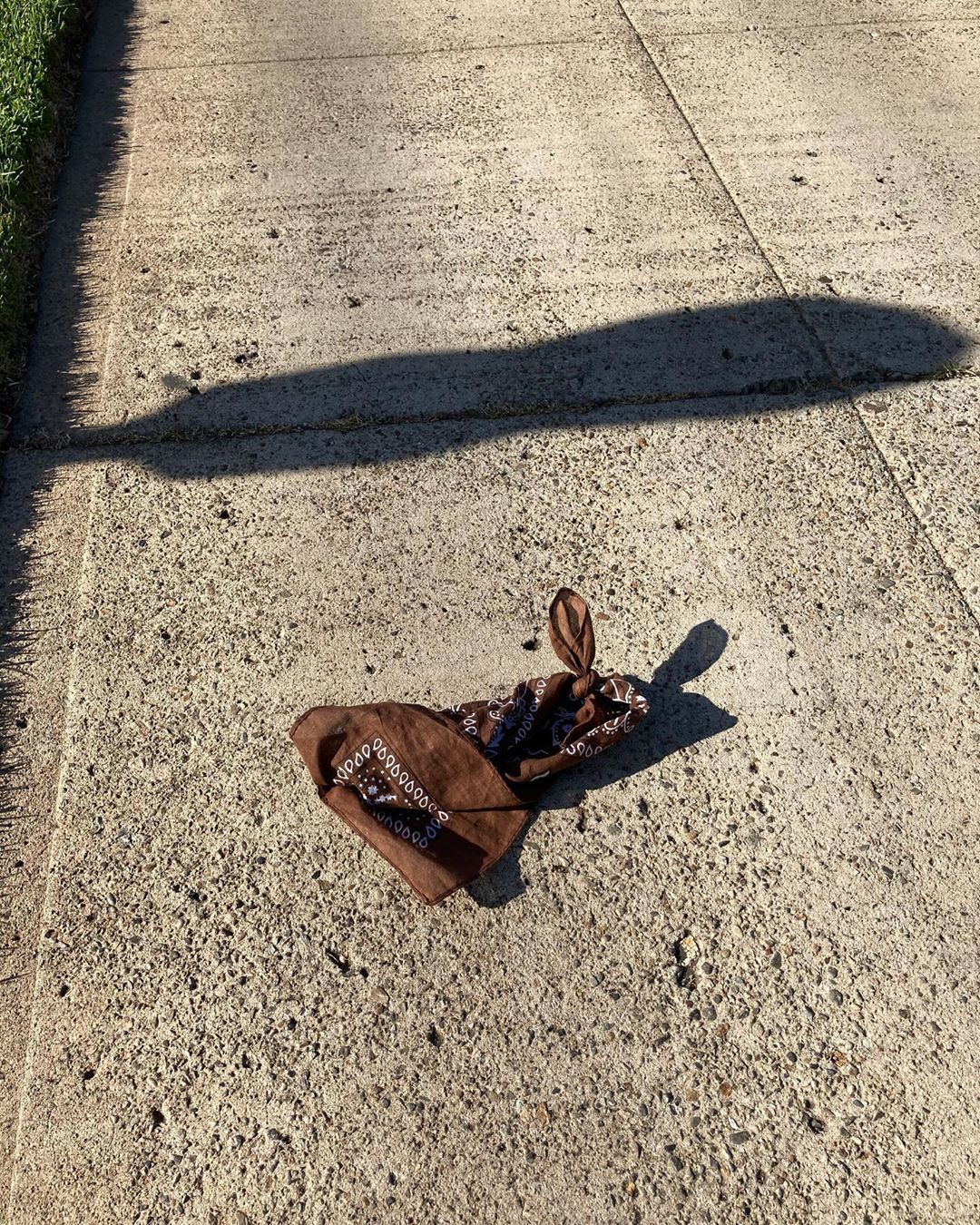 Tom Hanks - Look!  Little lost bunny? Hanx