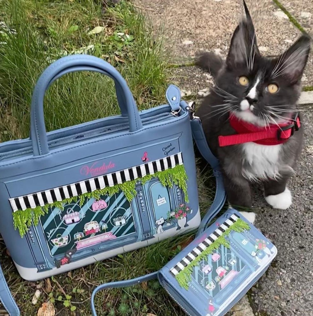 Vendula London Official - @j.a.c.k.ie's cat Arthur seems to love our new Vendula Street range 😉😻have you checked it out yet?

Shop now on VendulaLondon.com!

#vendulalondon #catsofinstagram