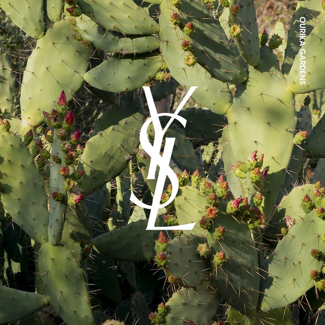 YSL Beauty Official - With the commitment to the highest brand standards, YSL Beauty continues to explore the extraordinary plant world of Morocco harvesting their multiple benefits. Always improving,...