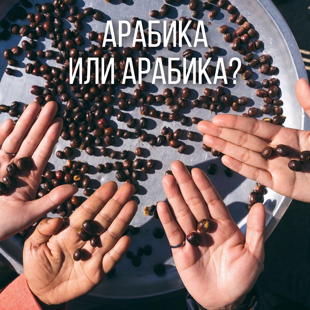 Интернет-магазин Tea.ru - Если вы думаете, что мир кофе делится только на арабику и робусту, то приготовьтесь удивляться!

Одной только арабики в мире насчитывается 300+ видов. Выбрали 6 самых популя...