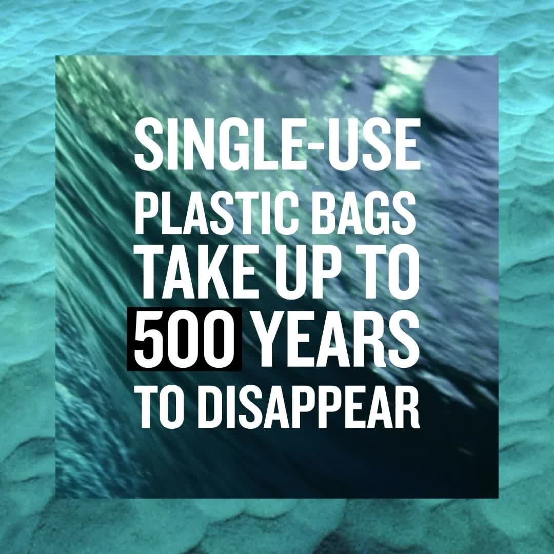 BIOTHERM - It is Plastic Bag Free Day! Today we remind you that a simple choice can make a HUGE impact.

When you choose to say no to taking a plastic bag, you are actively limiting the number of bags...
