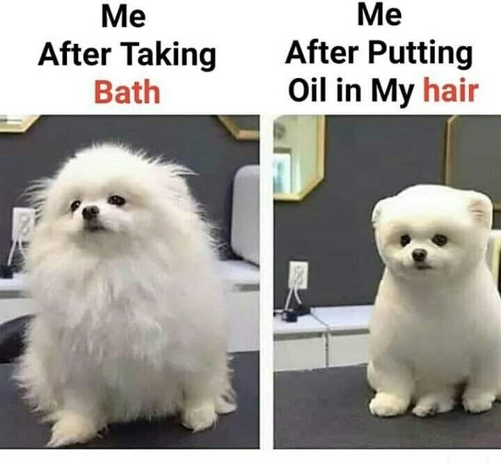 Escentual - Can anyone else relate? 😂⠀⠀⠀⠀⠀⠀⠀⠀⠀
⠀⠀⠀⠀⠀⠀⠀⠀⠀
If you haven't mastered hair oils yet, we show you how in this week's edit (head to the link in our bio) no more greasy locks, hello lustrous l...