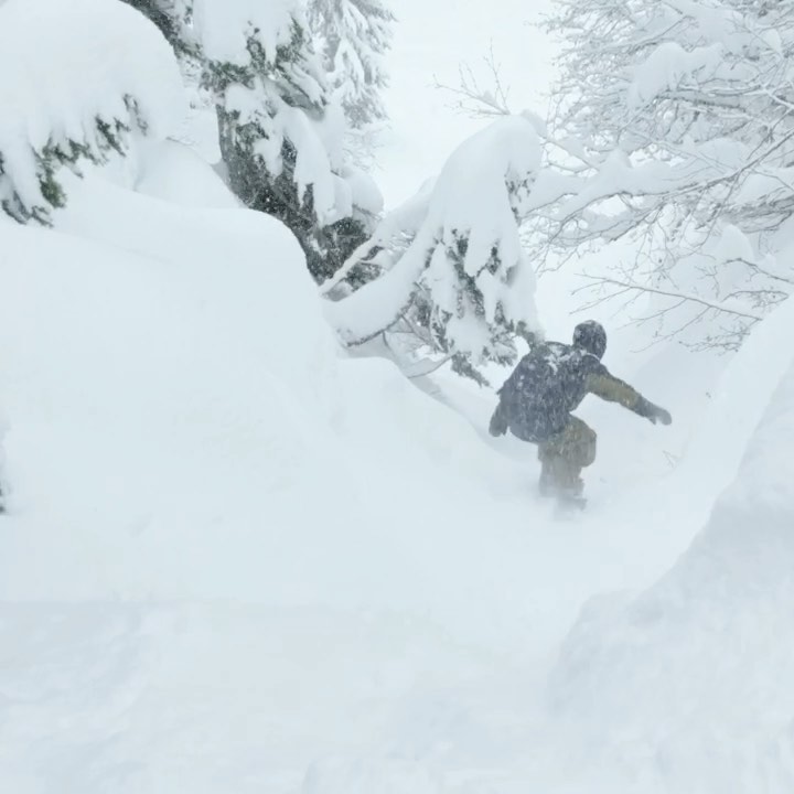 Quiksilver - There’s only one way to do Mt. Baker right.⁣
⁣
@matcrepel, charging Meadows in our freshly released film, Fully Baked. Hit the link in our bio to watch!