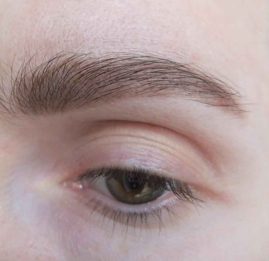 Одни из лучших теней для бровей - Catrice Eyebrow Set10 7fdb8c_lbox.jpg