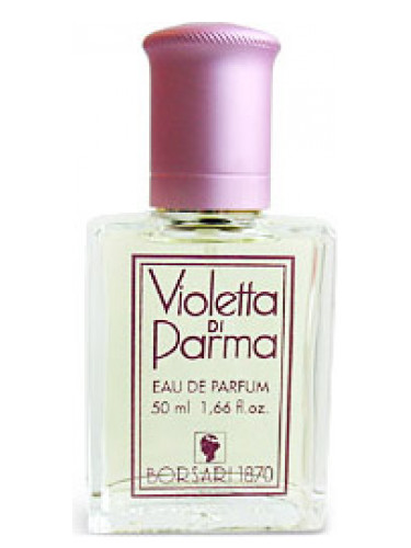 Violetta di Parma Borsari - отзыв