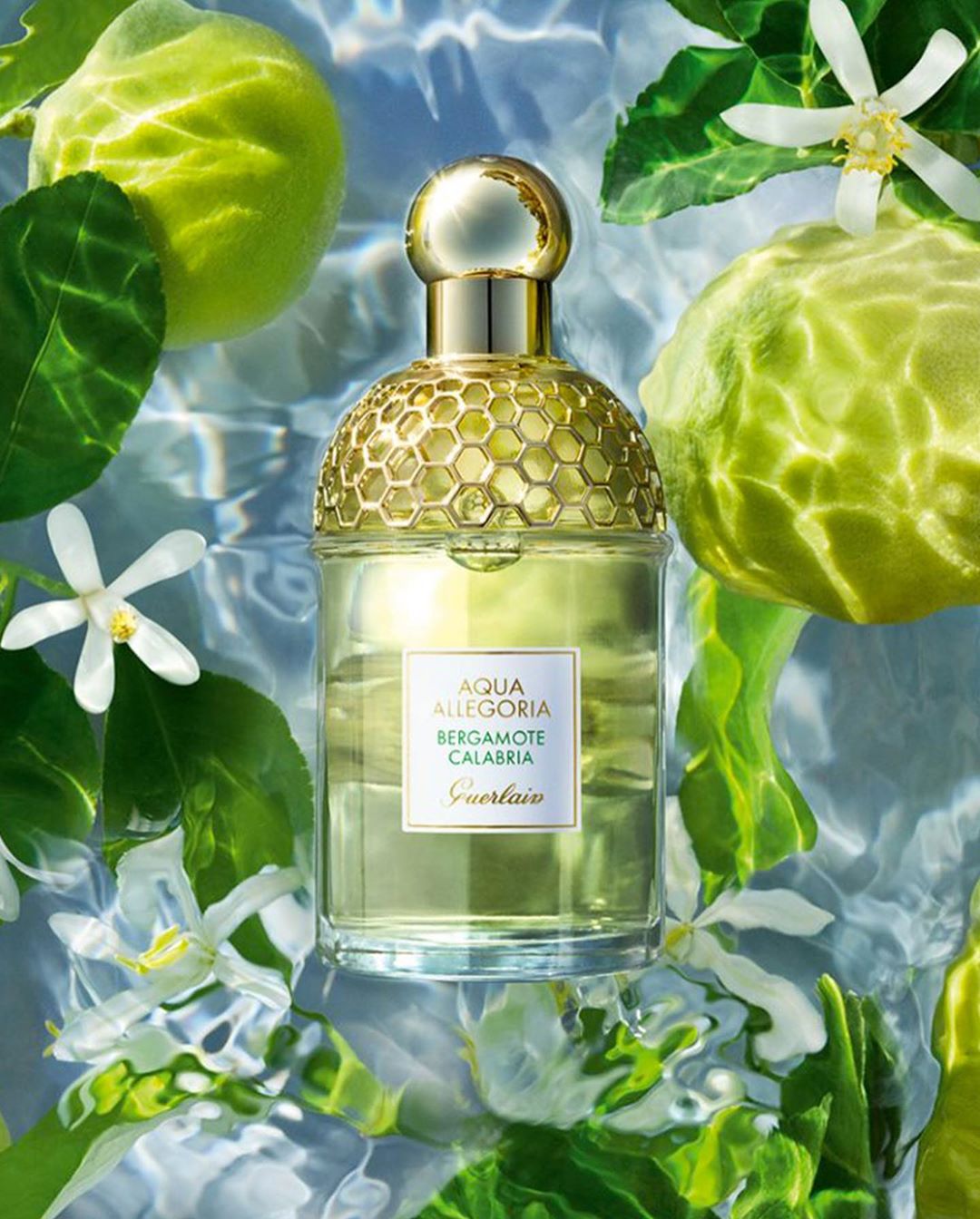 Guerlain - "Aqua Allegoria was born to express gardens... Every year, we meet a new garden." - Thierry Wasser, Guerlain Master Perfumer

A sunlit stroll along the coast of Southern Italy, Bergamote Ca...