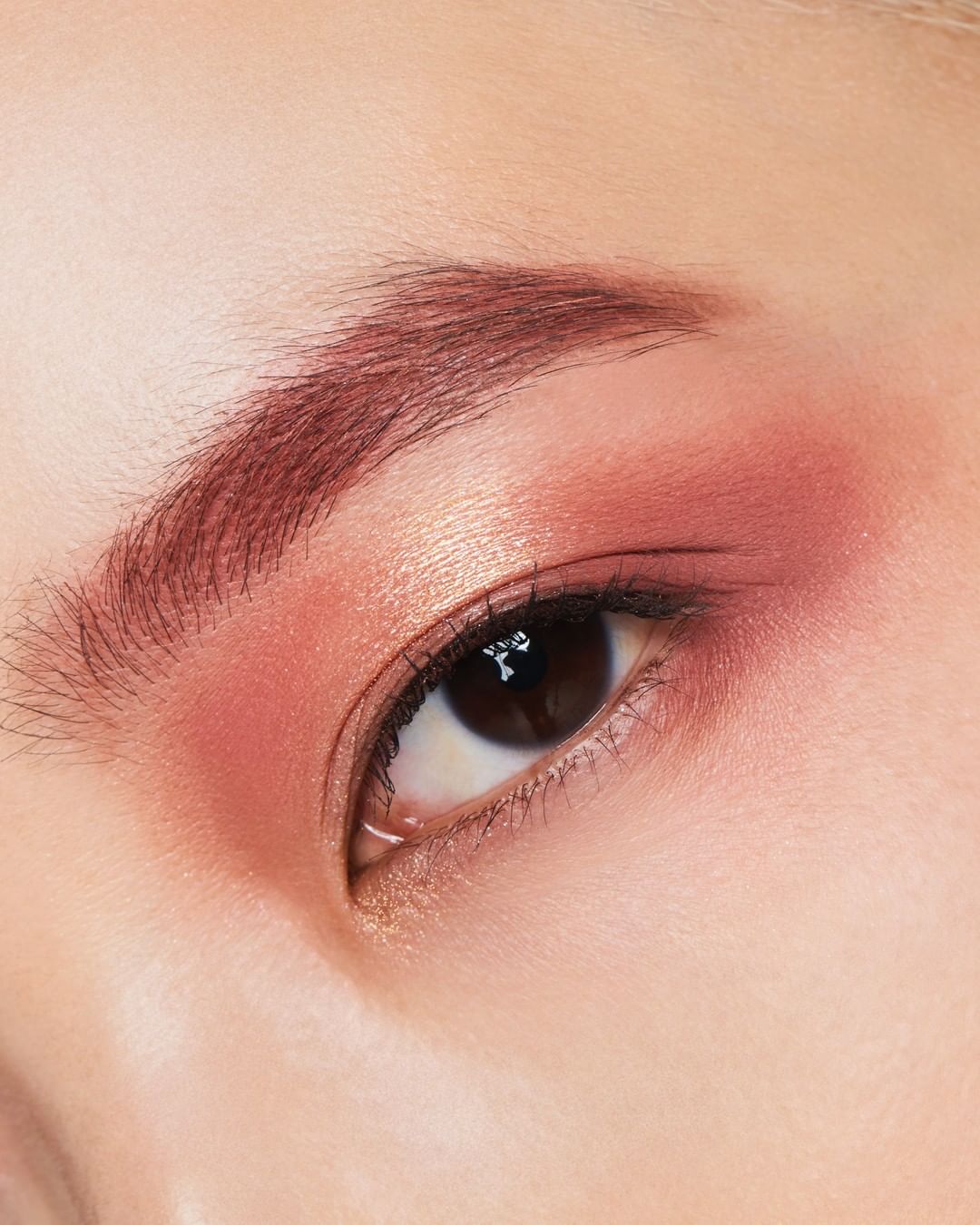 shu uemura - feel how easily you can blend and create a beautiful gradation on your eyes with the new color atelier eye shadow in M261. 🍂 #shuuemura #shuartistry #pressedeyeshadow