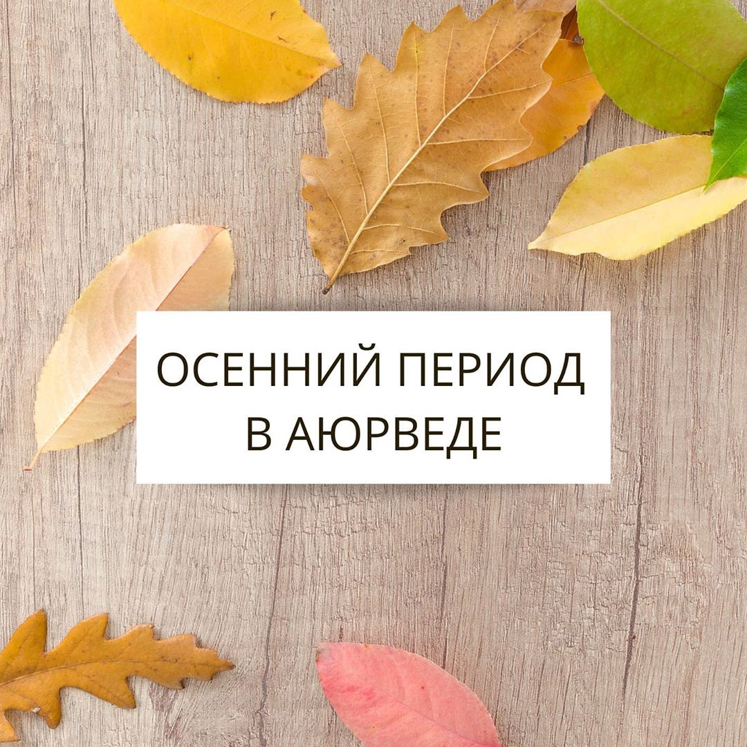 АЮРВЕДА🌿МАГАЗИН🌿МОСКВА - ОСЕННИЙ ПЕРИОД В АЮРВЕДЕ

Аюрведа осень относит к Вата и Питта периоду. Вата накапливается в летний период из-за сухости и выходит из равновесия в сезон дождей (варша). Питта...