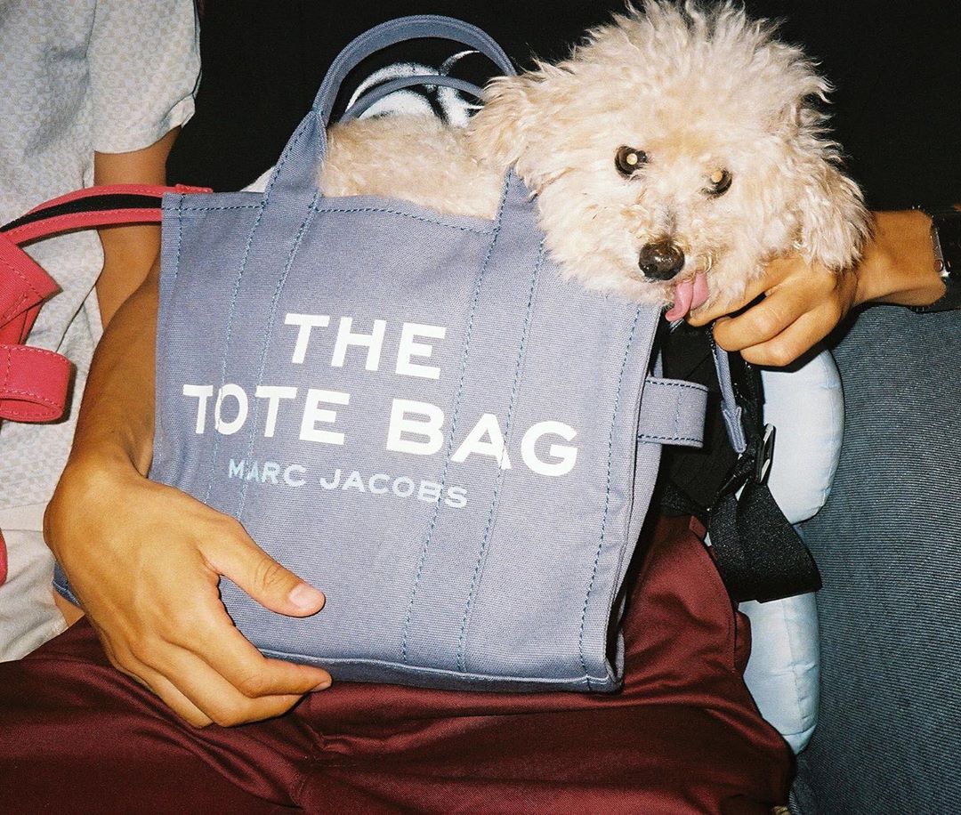 Marc Jacobs - Jasper wears THE Small Traveler Tote.

Photographed by @MalaCiel

June 14, 2020 in Tokyo, Japan