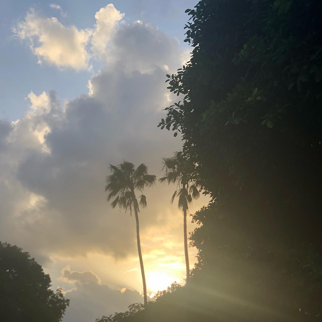 annakournikova - #florida #lookup #myview