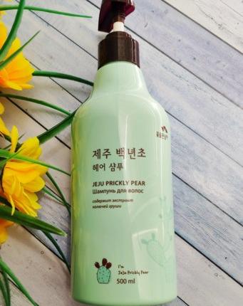 Шампунь VProve Увлажняющий с кактусом FLOR DE MAN JEJU PRICKLY PEAR HAIR SHAMPOO фото