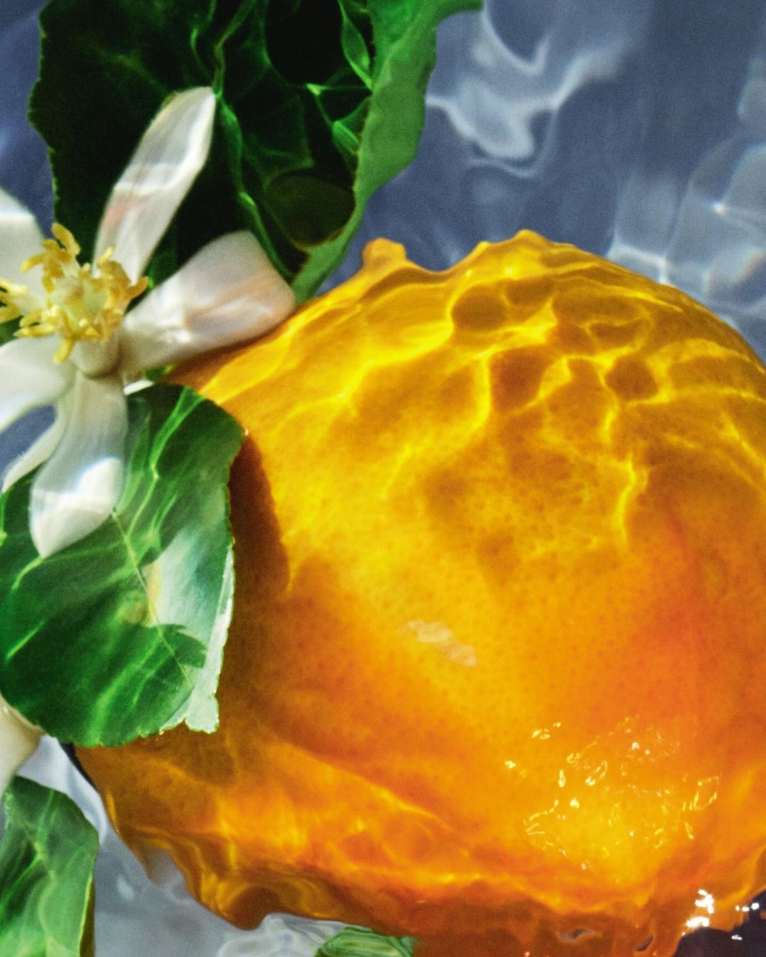 Guerlain - glimpse into a warm Sicilian orange grove, redolent with the scent of citrus as the sun shines high overhead - discover the sun-drenched world of Orange Soleia, Aqua Allegoria's newest secr...