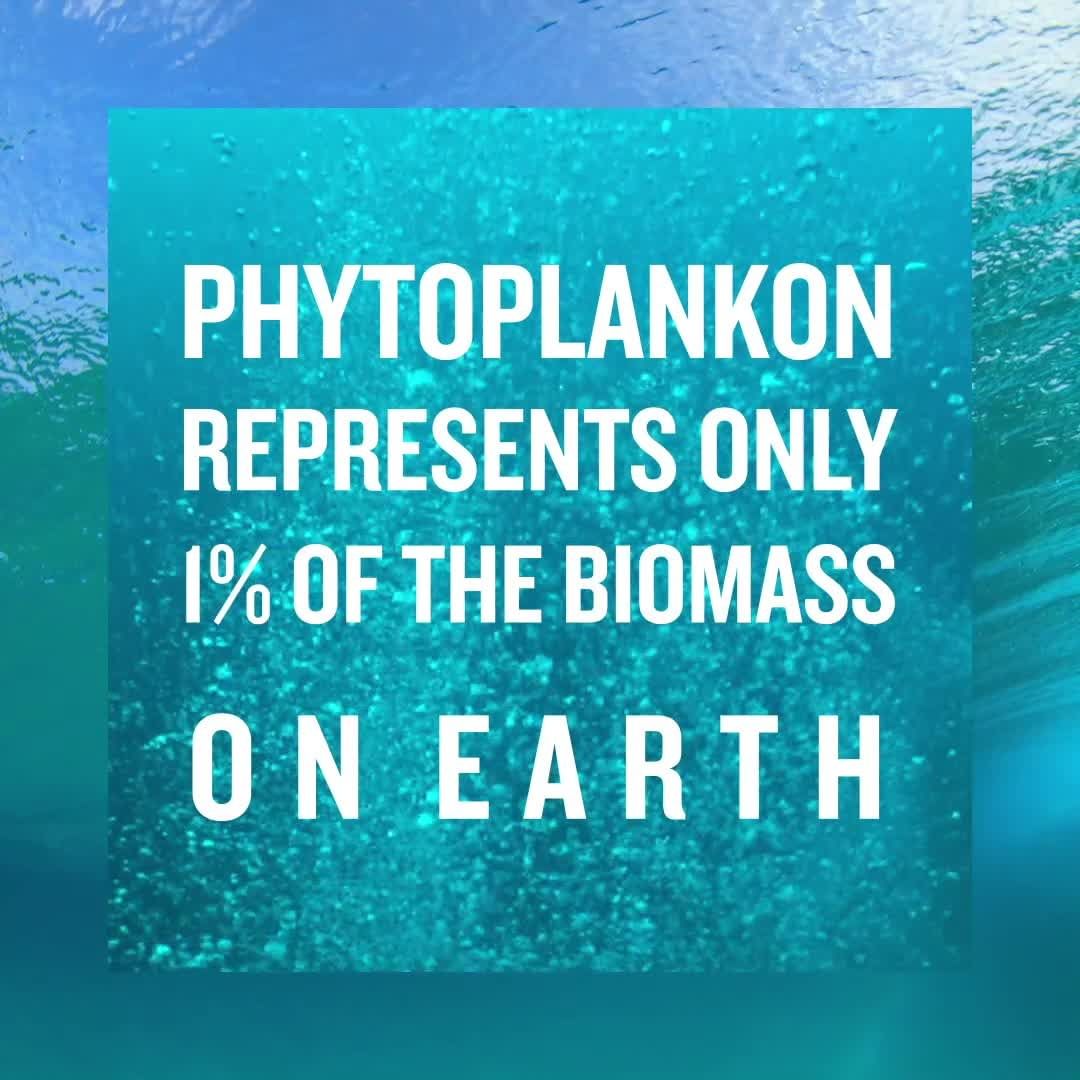 BIOTHERM - Phytoplankton represents only 1% of the biomass on earth yet is responsible for 50% of the oxygen on earth 💙

#Biotherm #BeAWaterLover