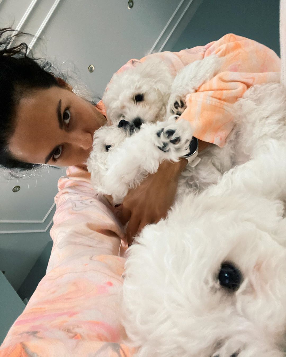 NK | Nastia Kamenskykh - Such a lovely Saturday home chill with those little cutenesses 🤍
⠀
#puppies #bichonfrise #somuchlove