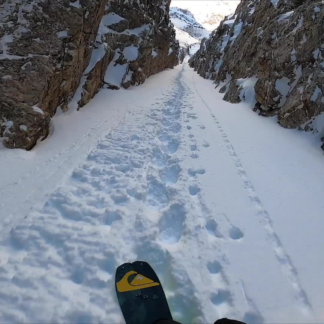 Quiksilver - “You don’t have to travel too far from home to have a wicked adventure.” Especially not if you’re @gsiebs. ⁣
⁣
Griffin just released a new short film called Backyard Boogie Töö. It was sh...