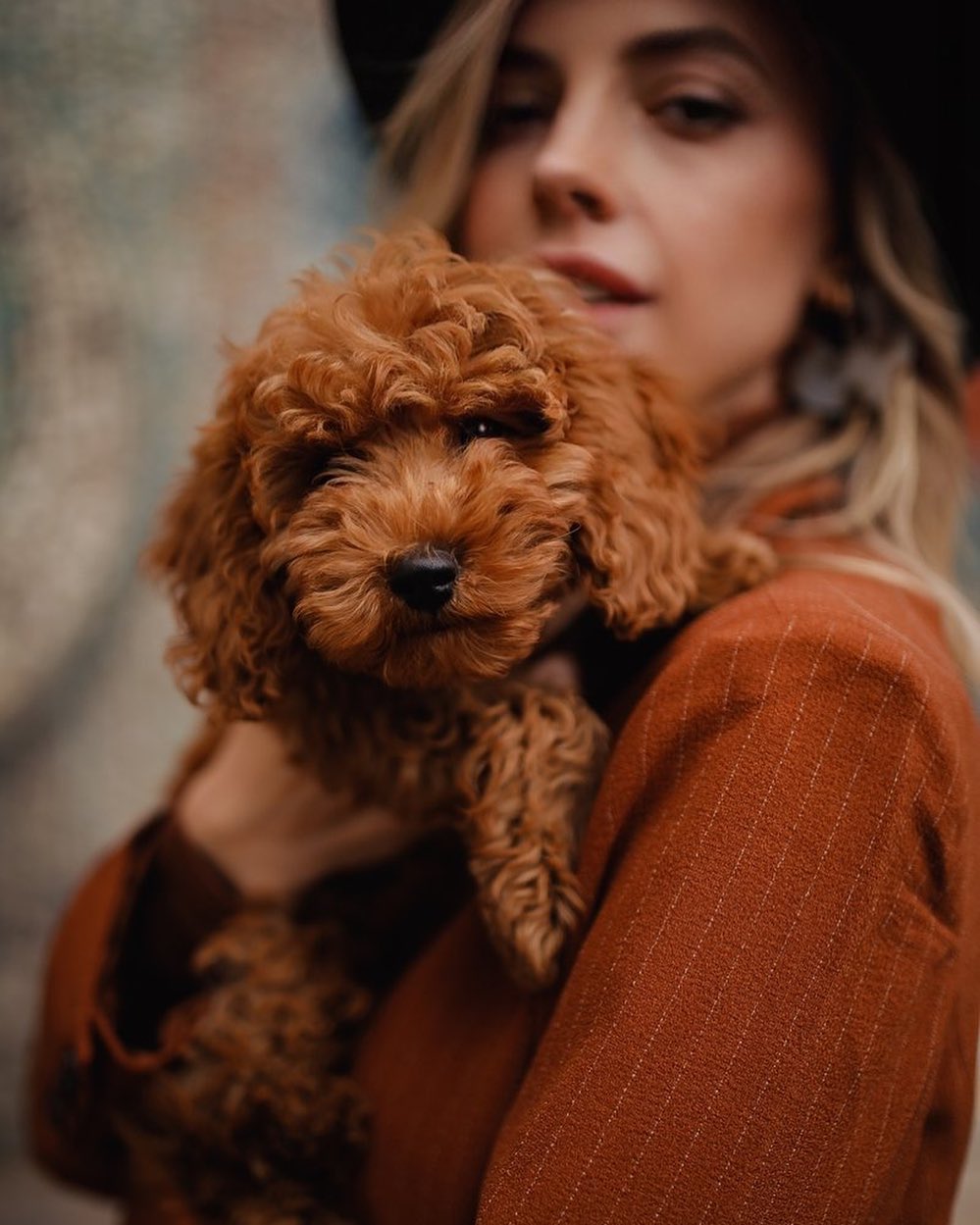 Надя Сысоева - Total Rusty look 🧡
Кто ещё не подписался на этого рыжего красавчика @rusty_maltipoo ⭐️ 

@gaydash_anastasia photo
@morozkatrin muah