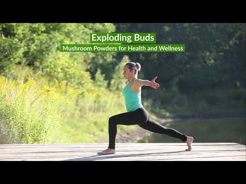 Exploding Buds Mushroom Powders for Health + Wellness | iHerb