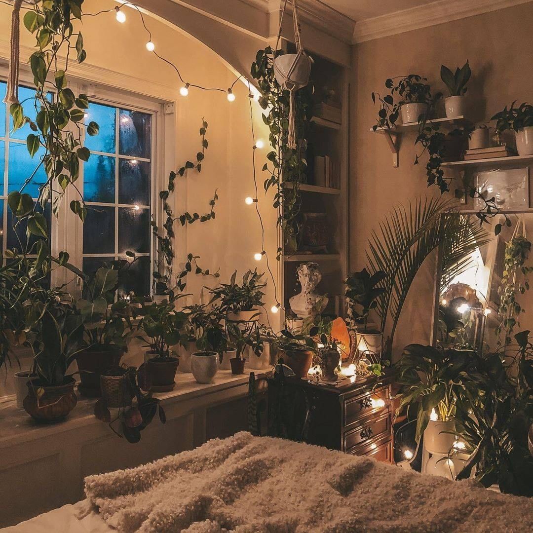 Newchic - 🎍Do you want a bedroom with many plants? #Newchic
📷Photo by @torontoplant.girl