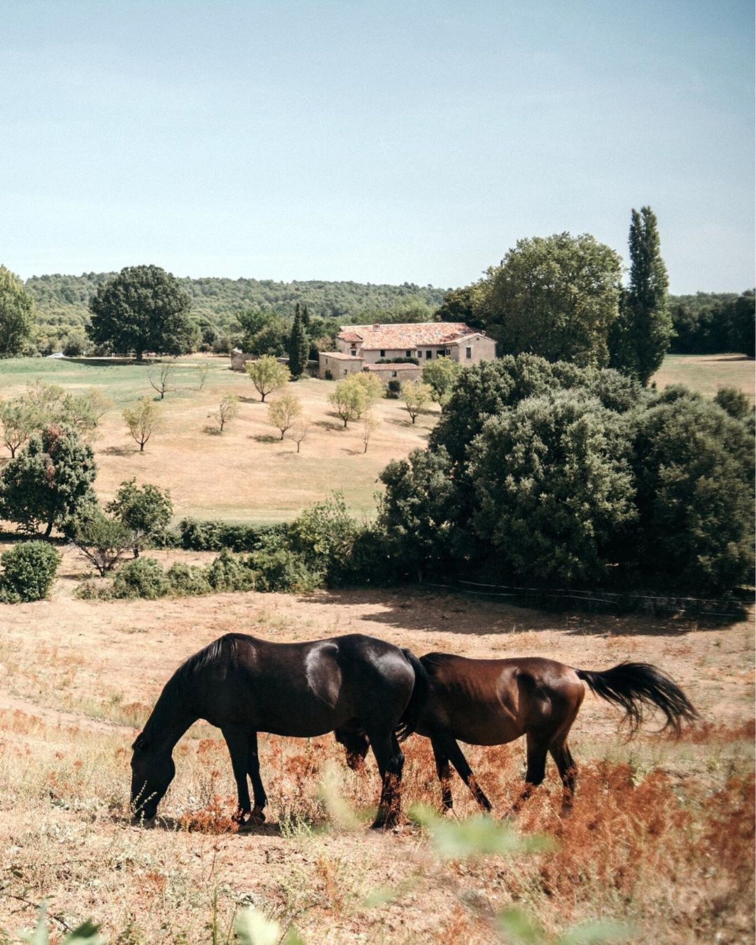 Atlas For Men - Cap sur le Sud-Est ! ☀️☀️☀️ Vous êtes-vous déjà aventuré dans cette région de France ? Où êtes-vous allé ? 🤗⁠⠀
.⁠⠀
.⁠⠀
.⁠⠀
.⁠⠀
A retrouver en bio : Sud-Est de la France : les plus beau...