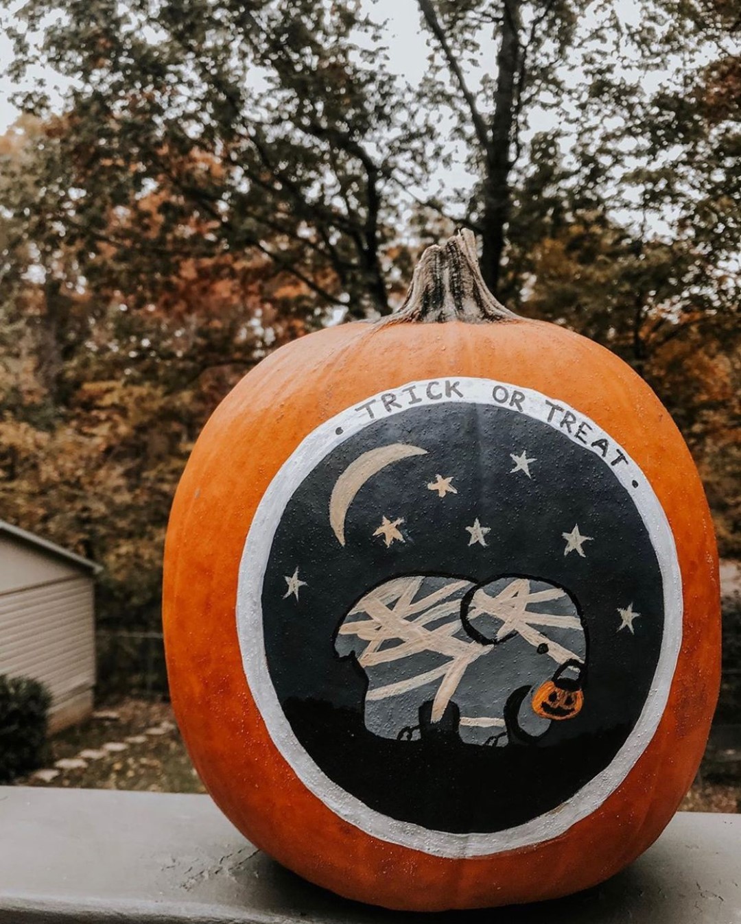 Ivory Ella - Get your pumpkins ready... The #IvoryEllaPumpkin contest is BACK - this year with a starry twist 🌙 ⭐️ We are officially accepting submissions TOMORROW for this year's most creative pumpki...