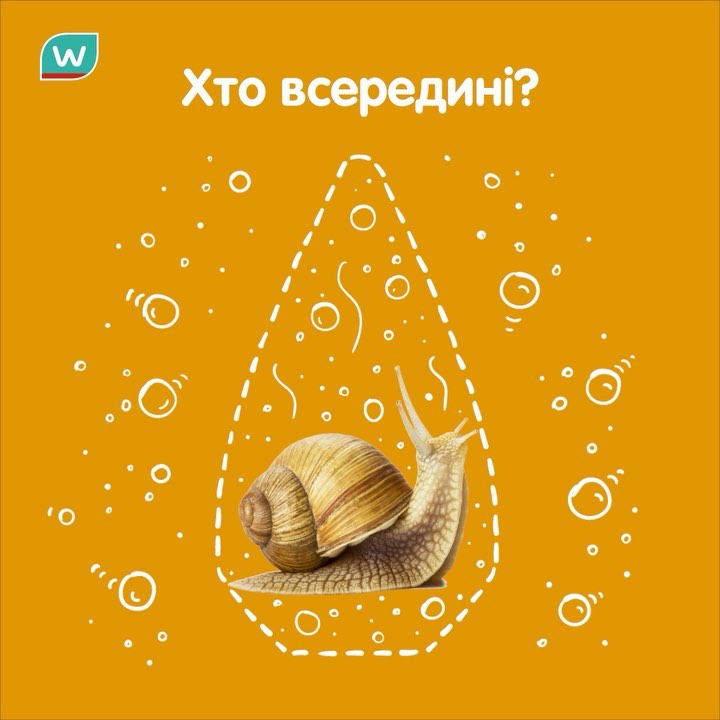 Watsons Ukraine - По секрету!🤫
⠀
Зовсім скоро на поличках у Watsons з’явиться крута новинка з Кореї. А от що це за чудо-засіб та хто живе в середині, вгадуй в коментарях!💁‍♀️
⠀
Готуйся до сюрпризів!✌️
