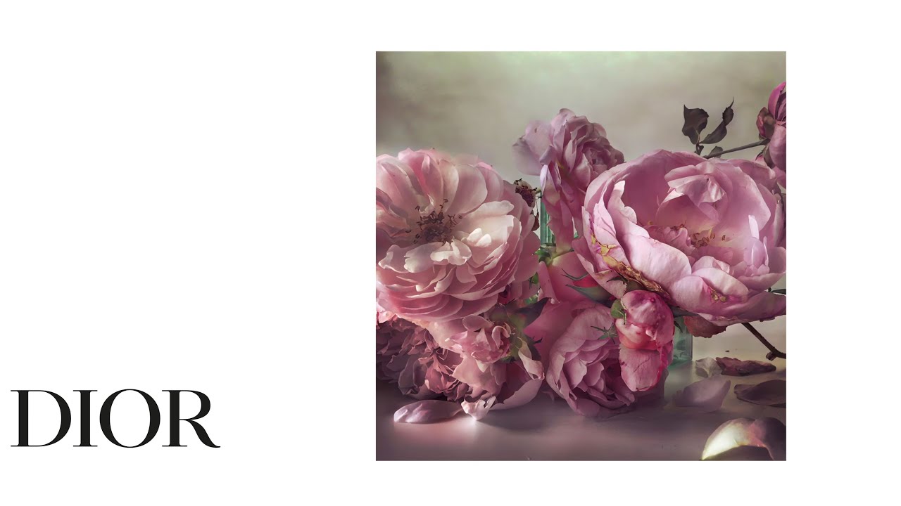 Dior In Bloom, Sublime Beauty: A Portfolio of Roses Portraits by Nick Knight