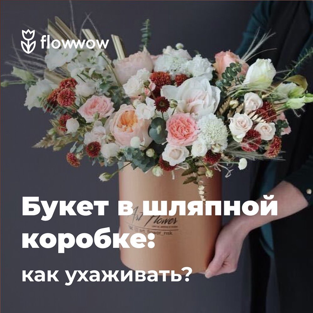 Flowwow – online market - Вам подарили цветы в шляпной коробке. Если первая мысль — «Что делать?», эта инструкция для вас. Поговорили с Натальей Кондратьевой, сотрудником магазина-партнера «ЛасФлоре»,...