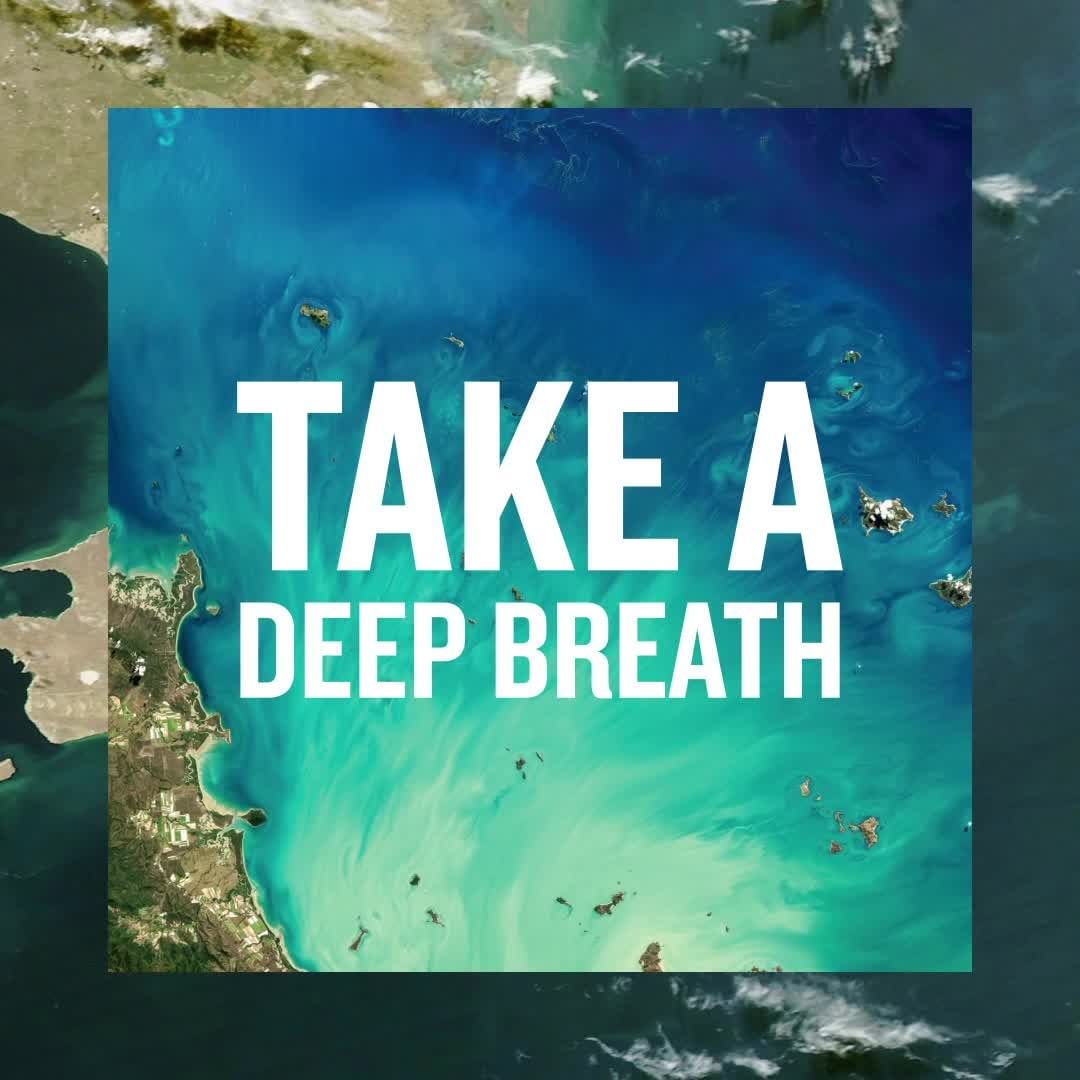 BIOTHERM - Take a deep breath
Taste the ocean in the air 
And get ready to stand up for the planet 💪

#Biotherm #BeAWaterLover