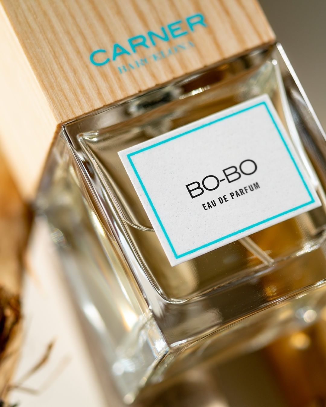CARNER BARCELONA • Perfumes - Blithe and effervescent, Bo-Bo is a scent that captures the joyful and fanciful soul of the Mediterranean 🍊
·
·
·
#freshcollection #bobo #inspiration #carnerbarcelona #ca...