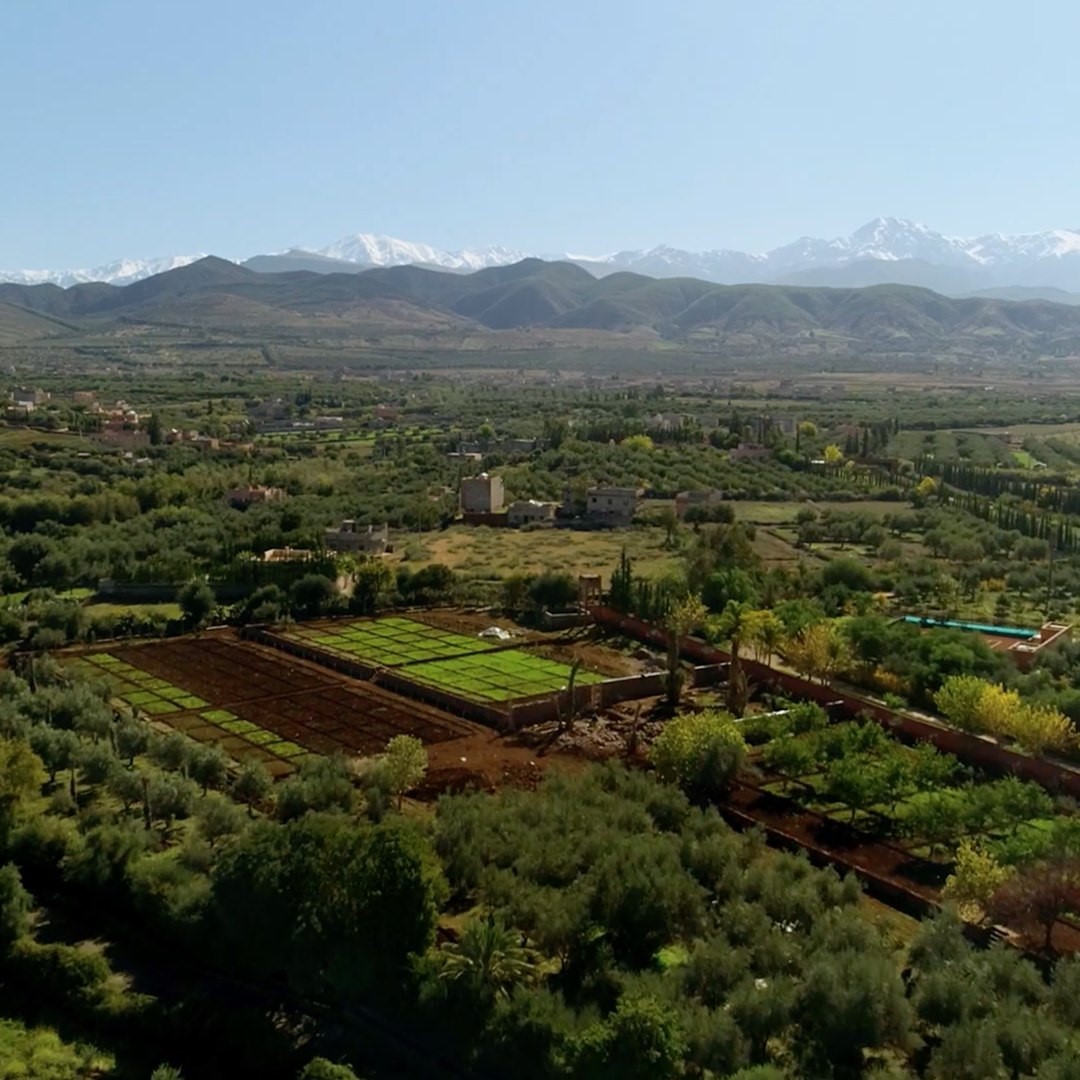 YSL Beauty Official - At the heart of our sustainable development strategy, the garden serves as a home to more than 200 botanical species, some of which are selected to be used in YSL Beauty products...