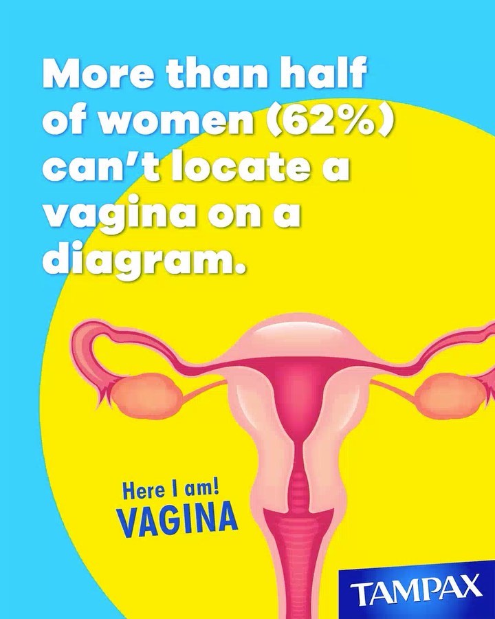 Tampax Tampons Official - New research uncovered some *shocking* facts, and it seems like it's time to uncover where the vagina is located too 🧐 Let's do something about it, but more to come on that ....