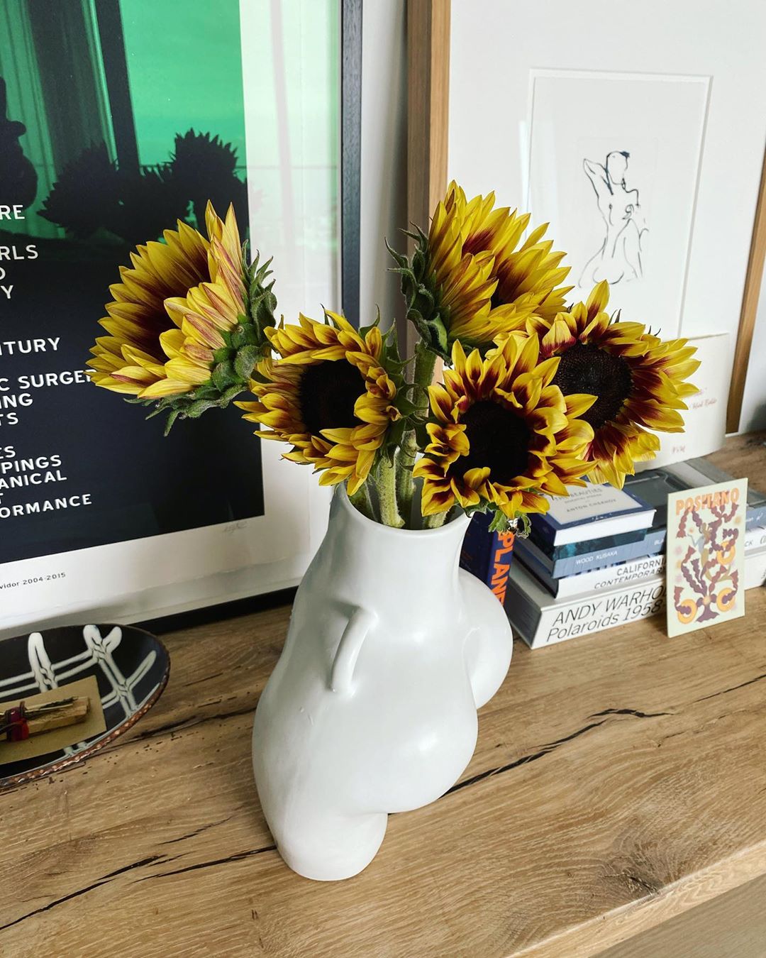 Maria Sharapova - 🌻